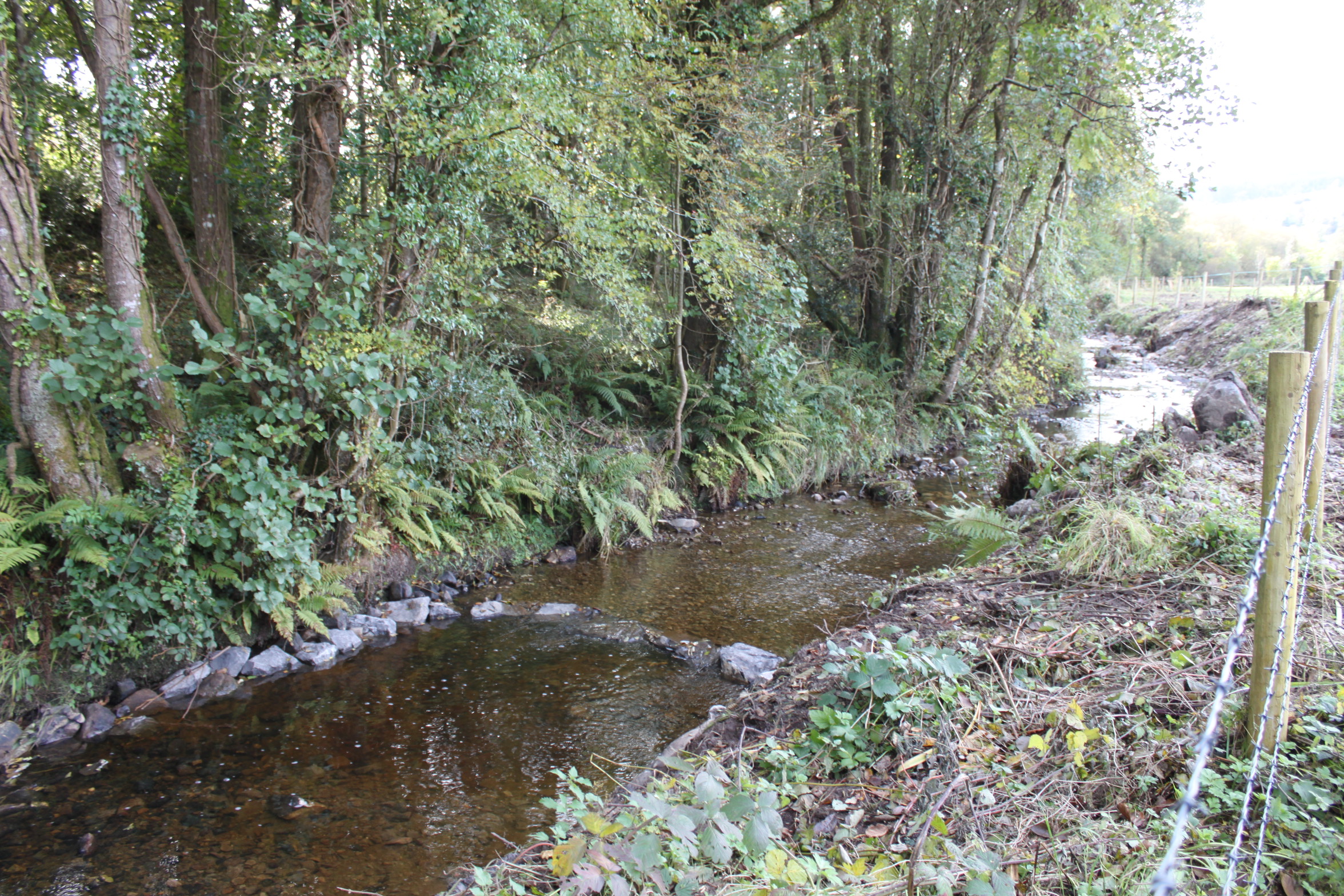 Enhanced Blackslee river